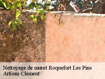 Nettoyage de muret  roquefort-les-pins-06330 Dumas etancheite