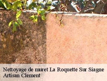 Nettoyage de muret la-roquette-sur-siagne-06550 Artisan Clement