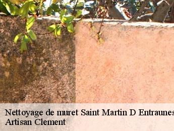 Nettoyage de muret saint-martin-d-entraunes-06470 Artisan Clement