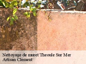 Nettoyage de muret  theoule-sur-mer-06590 Dumas etancheite