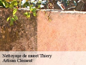 Nettoyage de muret thiery-06710 Artisan Clement