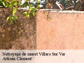 Nettoyage de muret villars-sur-var-06710 Artisan Clement