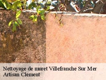Nettoyage de muret villefranche-sur-mer-06230 Artisan Clement