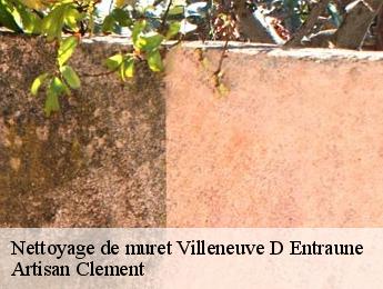 Nettoyage de muret villeneuve-d-entraune-06470 Artisan Clement