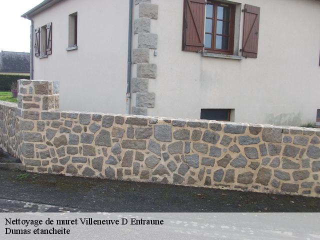 Nettoyage de muret  villeneuve-d-entraune-06470 Dumas etancheite