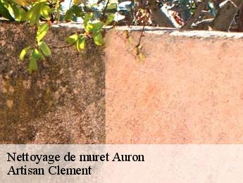 Nettoyage de muret auron-06660 Artisan Clement