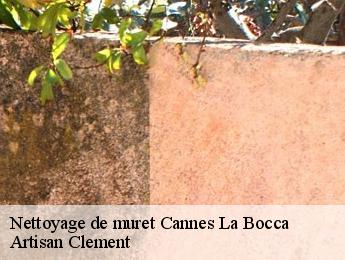 Nettoyage de muret cannes-la-bocca-06150 Artisan Clement