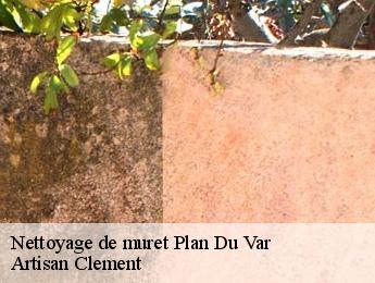 Nettoyage de muret plan-du-var-06670 Artisan Clement