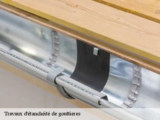  Travaux d'étanchéité de gouttieres 06 Alpes-Maritimes  Artisan Clement
