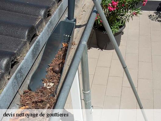 devis nettoyage de gouttieres 06 Alpes-Maritimes Artisan Clement