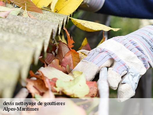 devis nettoyage de gouttieres 06 Alpes-Maritimes Artisan Clement