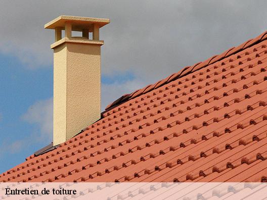 Entretien de toiture cagnes-sur-mer-06800 Artisan Clement
