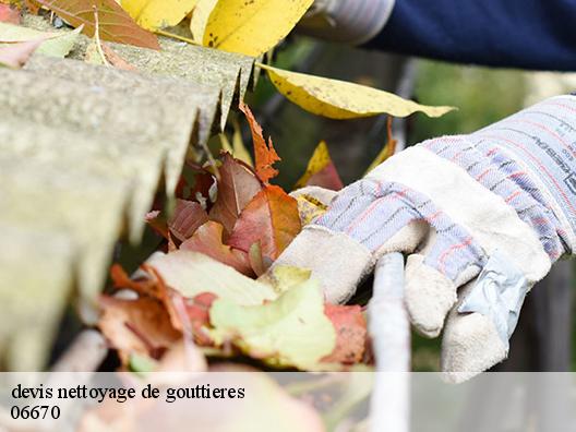 devis nettoyage de gouttieres duranus-06670 Artisan Clement
